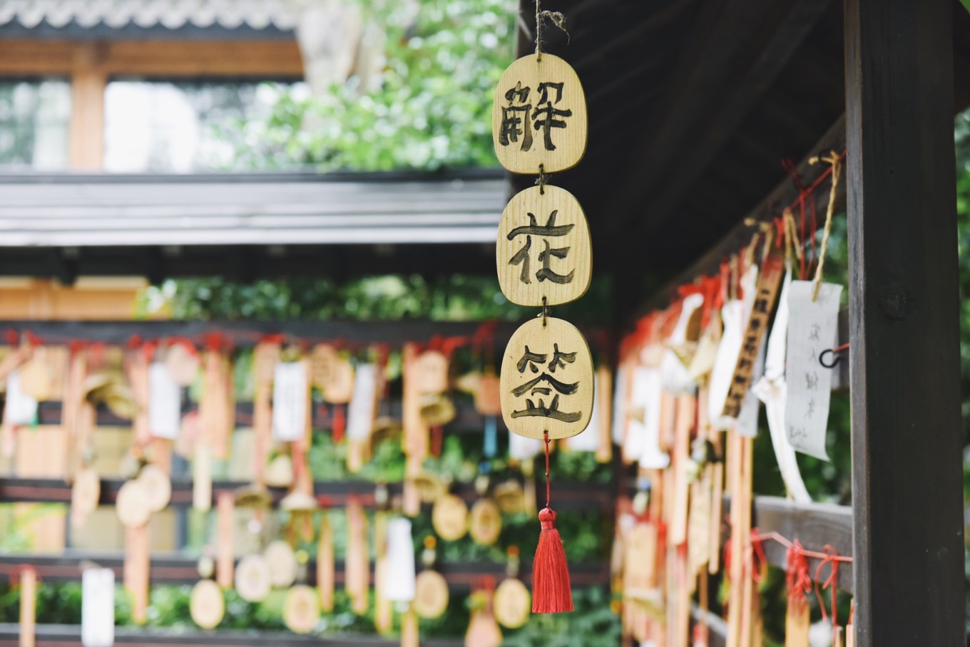 绿色世界花的海洋，在十里芳菲宠爱自己的24小时