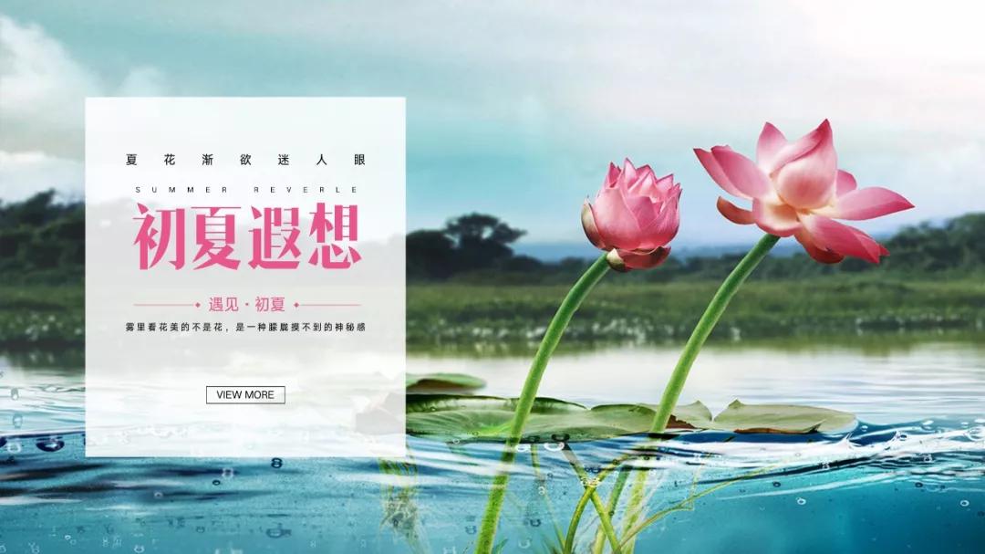 干货整理九个ppt实用小技巧,有哪些技巧可以提高ppt的制作速度