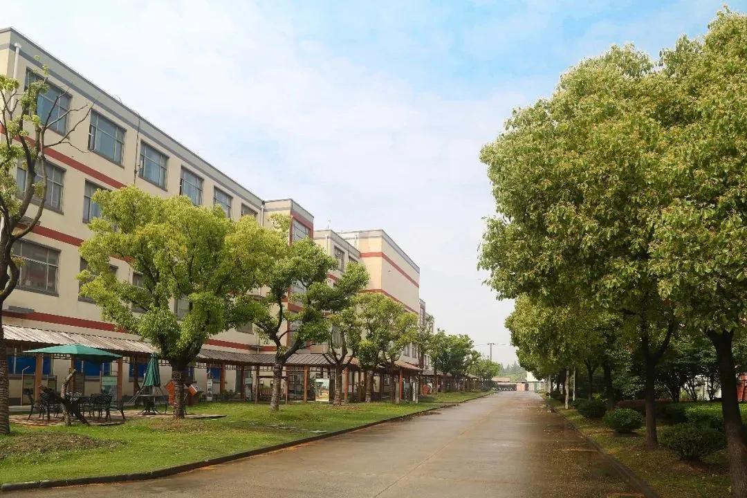 上海震旦职业学院通报,上海震旦职业技术学院通报