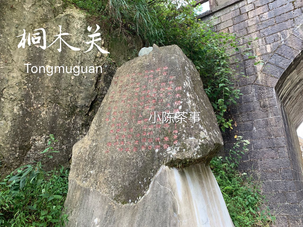 白毫银针和金骏眉是同一种茶底吗,绿茶龙井红茶金骏眉白茶白毫银针