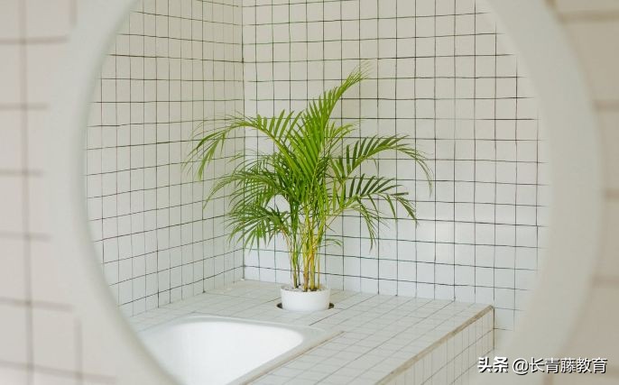 最新留学意大利必备行李,意大利留学指南全攻略