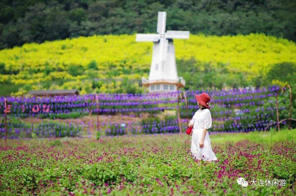 大连九月旅游攻略大全,大连11月旅游的最佳地方