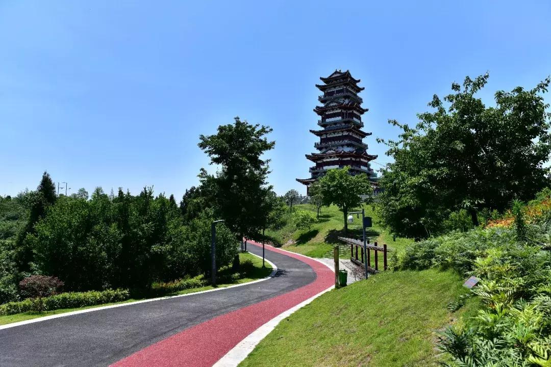 自驾旅游沿着g30高速公路看风景,沿g318去拉萨一路海拔