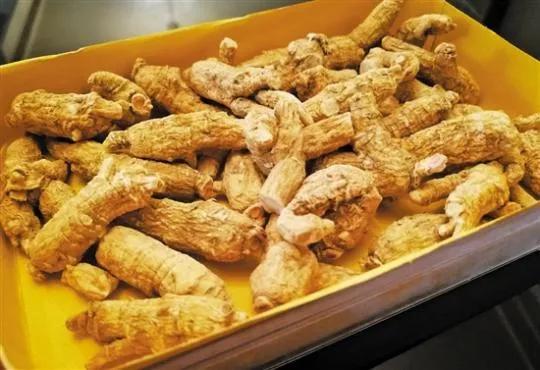 人参红参党参西洋参用法,人参红参的正确用法