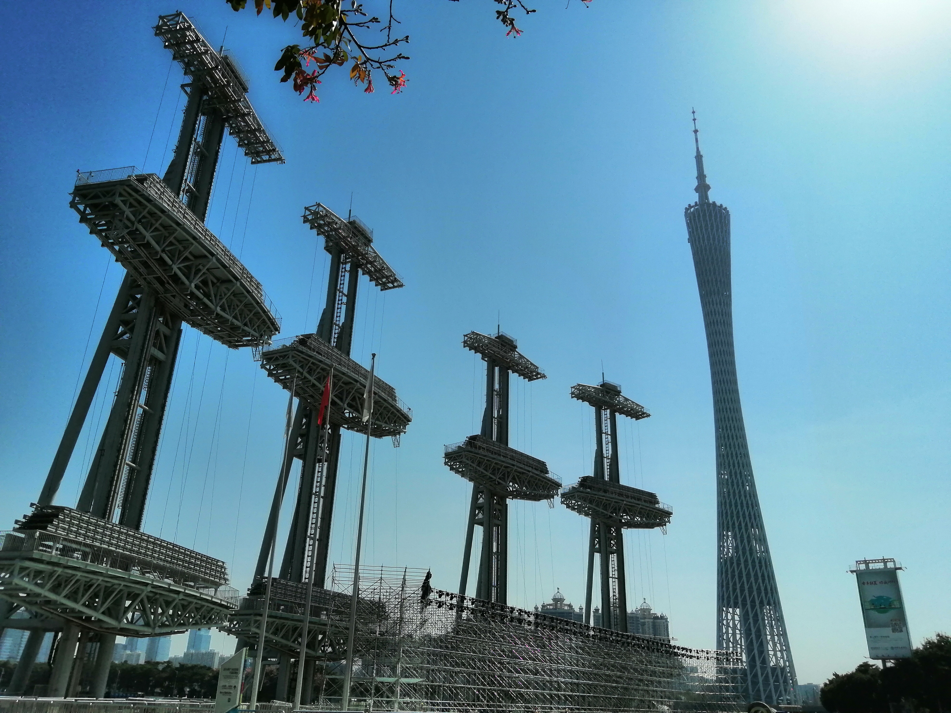 广州海心沙亚运公园广州塔格桑花,游广州海心沙公园