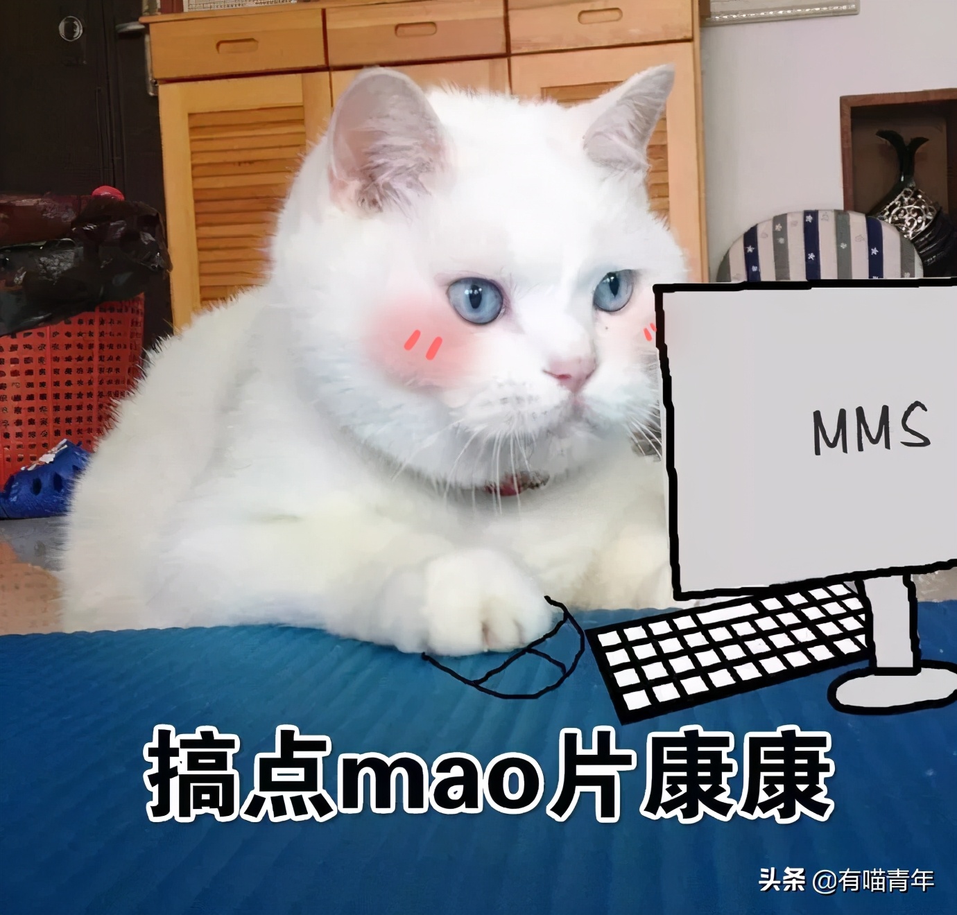 猫咪在啪啪啪的时候,究竟爽不爽?