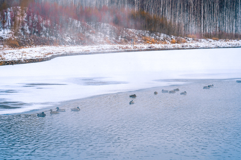 冰雪总动员简介,冰雪总动员