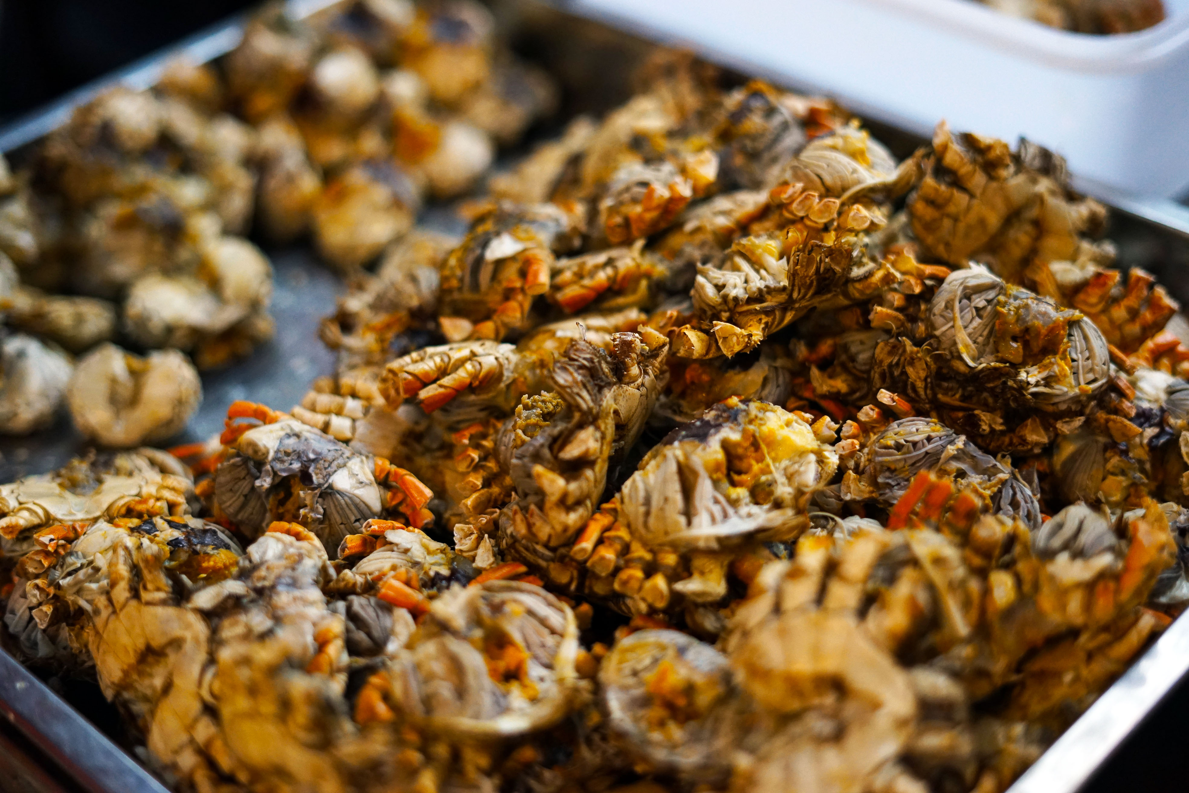 苏州是个温柔细腻且包容的城市,苏州是个温柔的地方