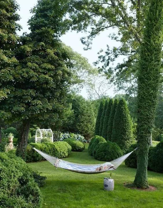 花园草坪如何打理,花园草地打理