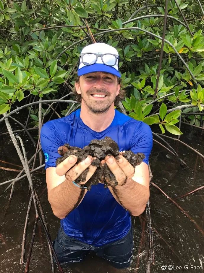 7年前惊艳世界的精灵王,如今在开拖拉机,“大王您养鸡都美”