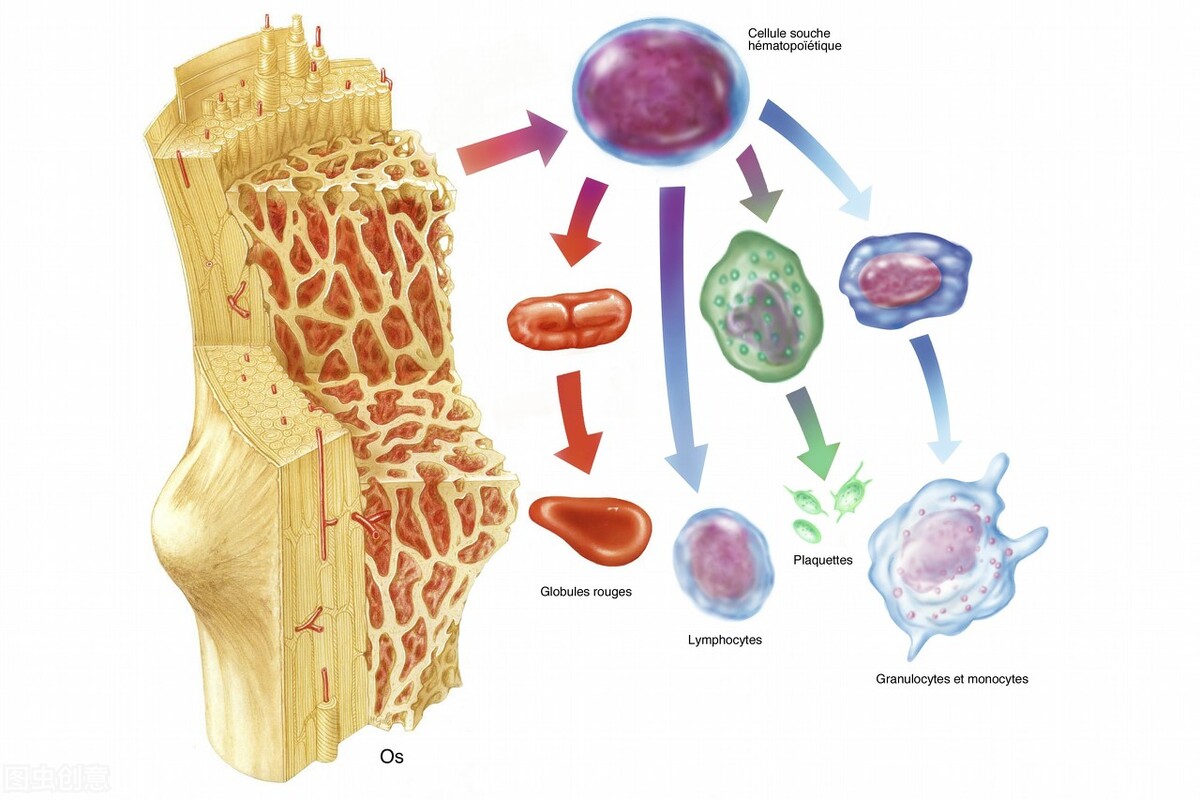 几万一针的干细胞再生,干细胞治疗一针需要多少钱