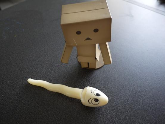 生儿育女注意事项,x精子和y精子哪个更容易受孕