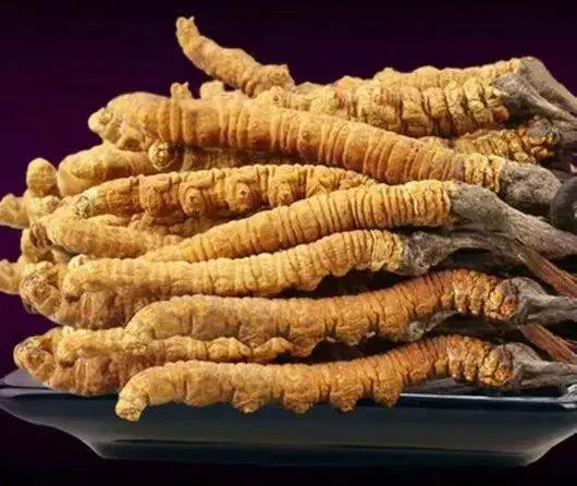 中国各个省份土特产地图,中国各地特产视频