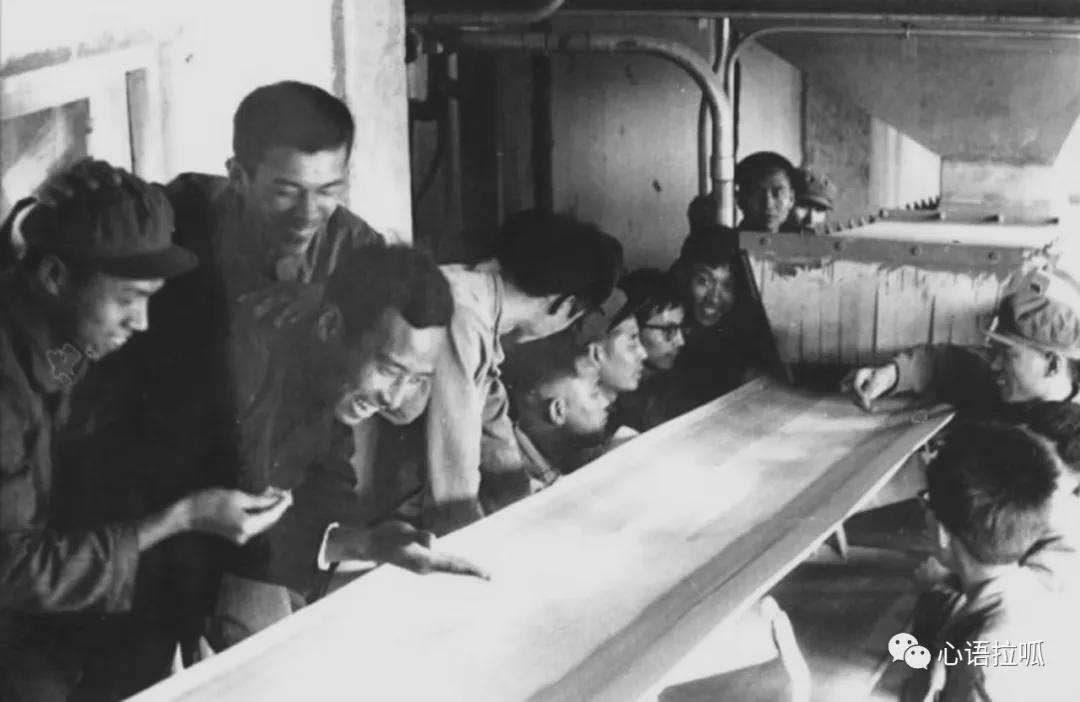 淄博曾经有合成氨和三十万