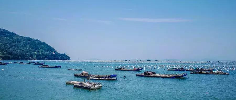 牛出天际！深圳人终于可以买岛，走向人生巅峰不是梦！