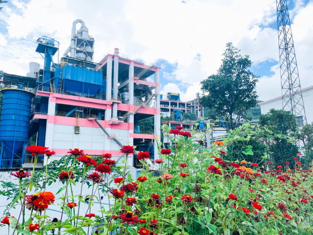 寻找最美工厂|华新云龙公司多彩之秋