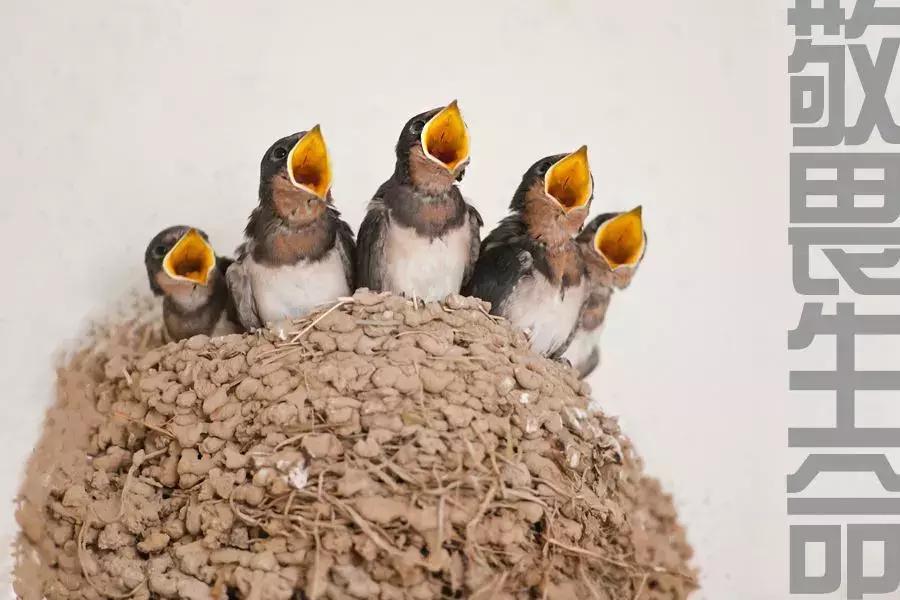 姑娘，如果你不得不流掉肚子里的小生命，请务必看完此文