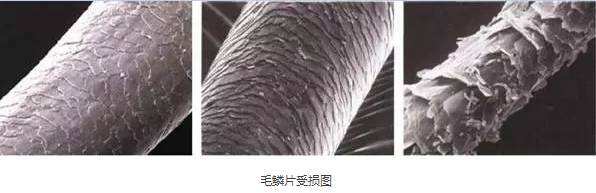 测评多功能负离子直发梳好不好用,智能直发梳好用吗