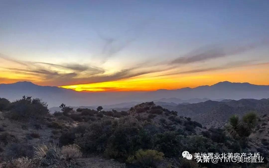 绿皮书浪漫,绿皮书最浪漫