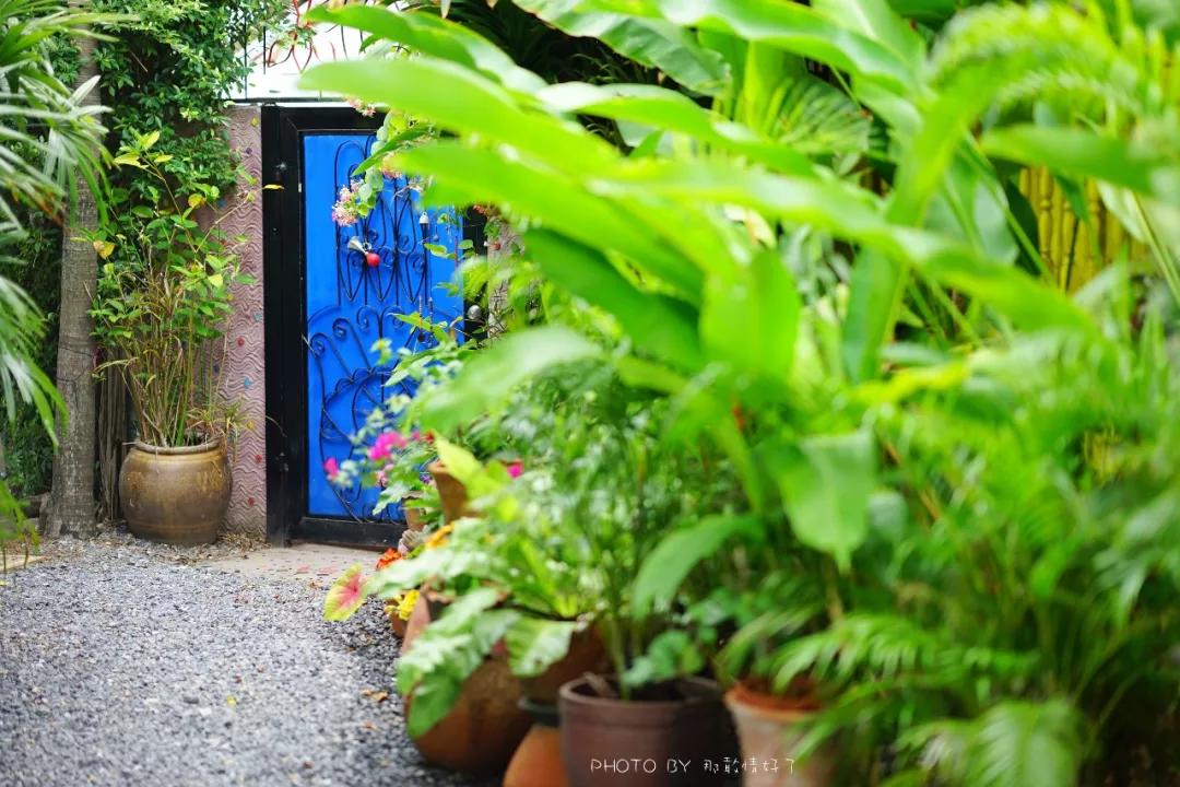 美国艺术家老夫妇定居苏梅岛十年，教游客画垃圾桶，唤醒环保意识