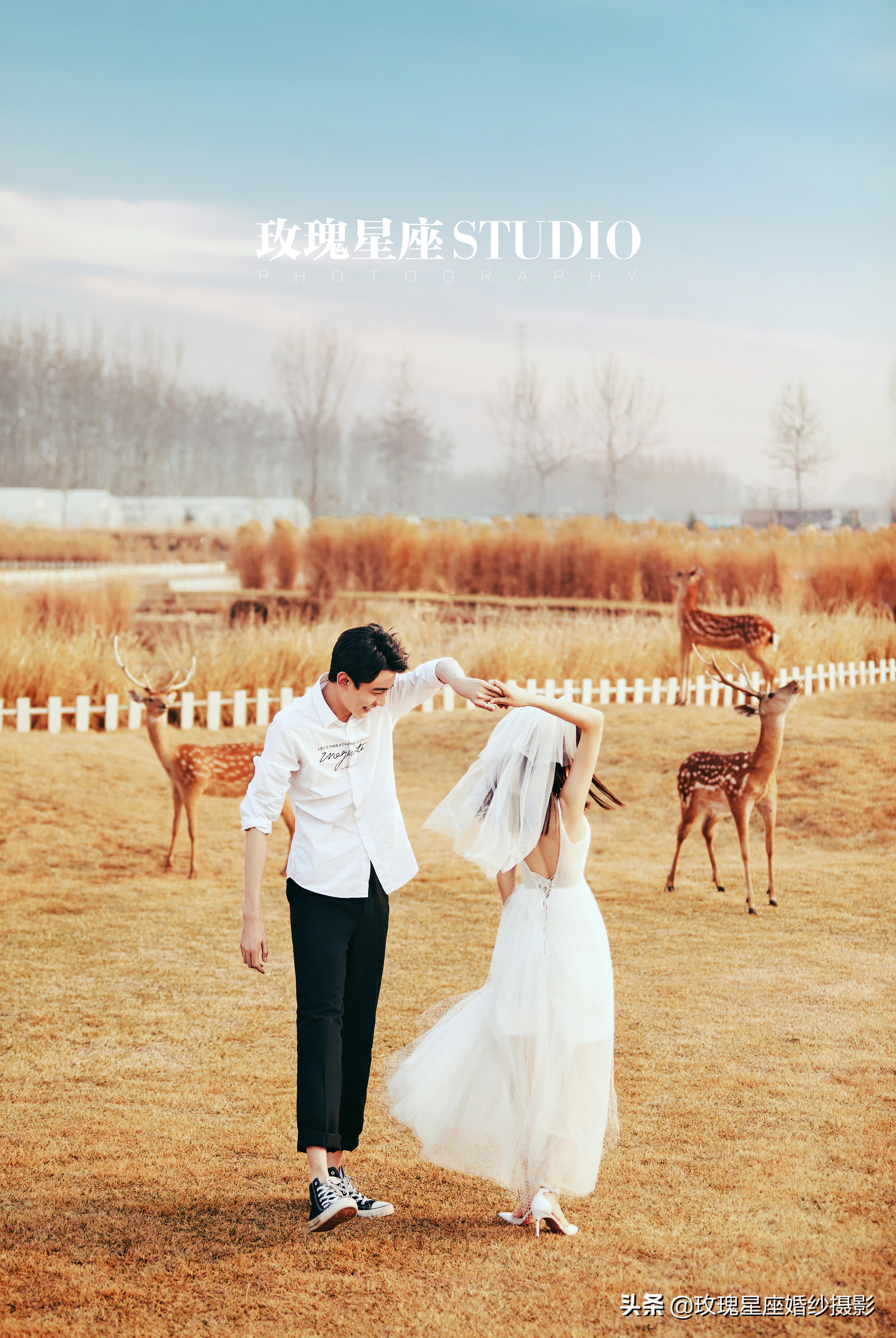 婚纱照都怎么拍最合适,拍婚纱照自己怎么拍才能好看呢