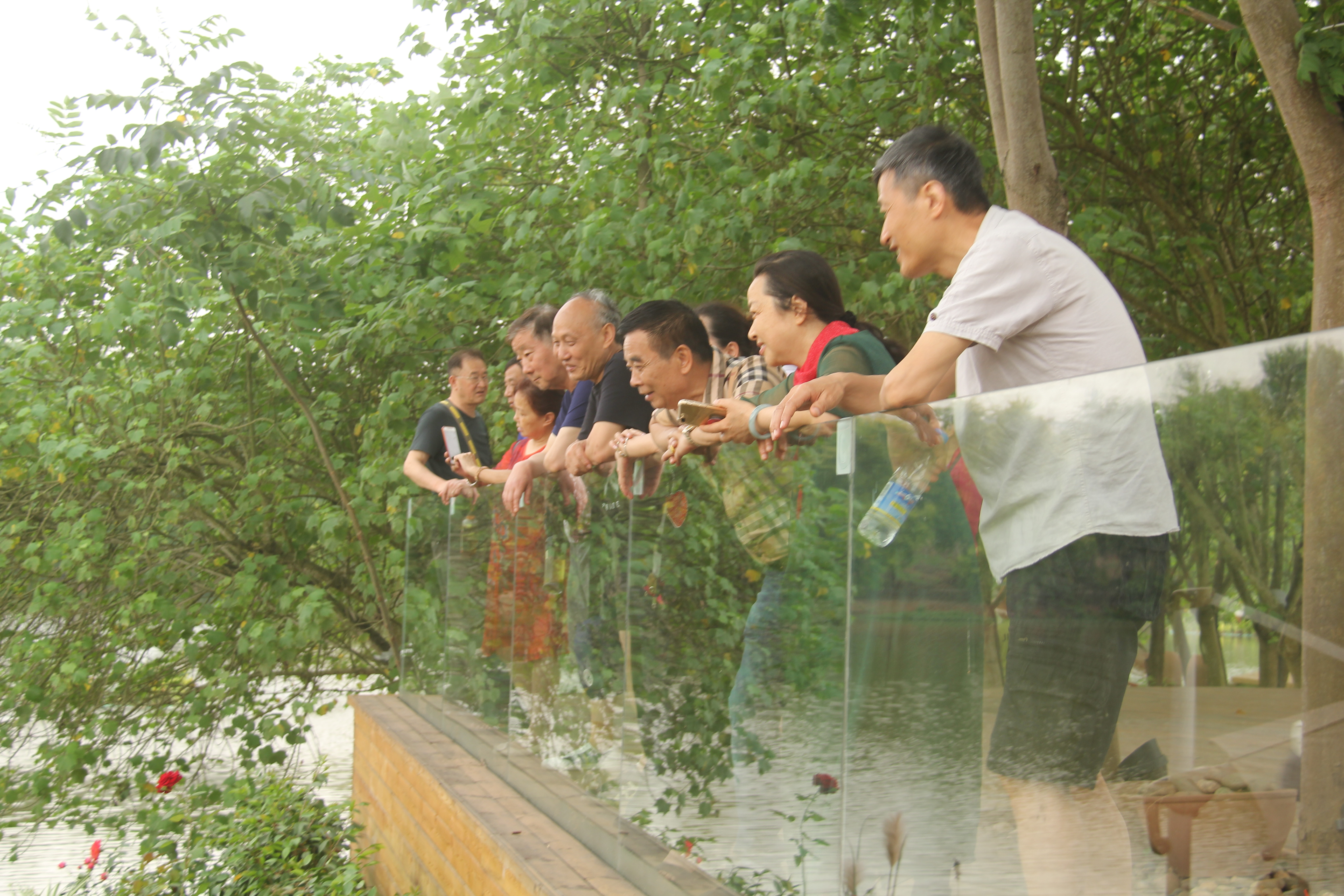 如何应对疫情负面的信息,怎样应对疫情带来的负面情绪