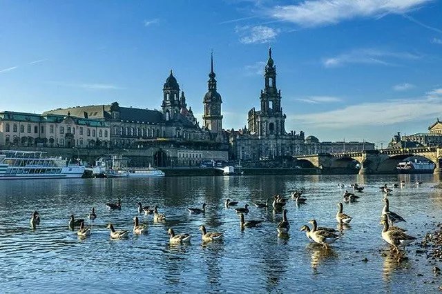 德累斯顿工业大学与中国大学合作,德国德累斯顿工业大学硕士