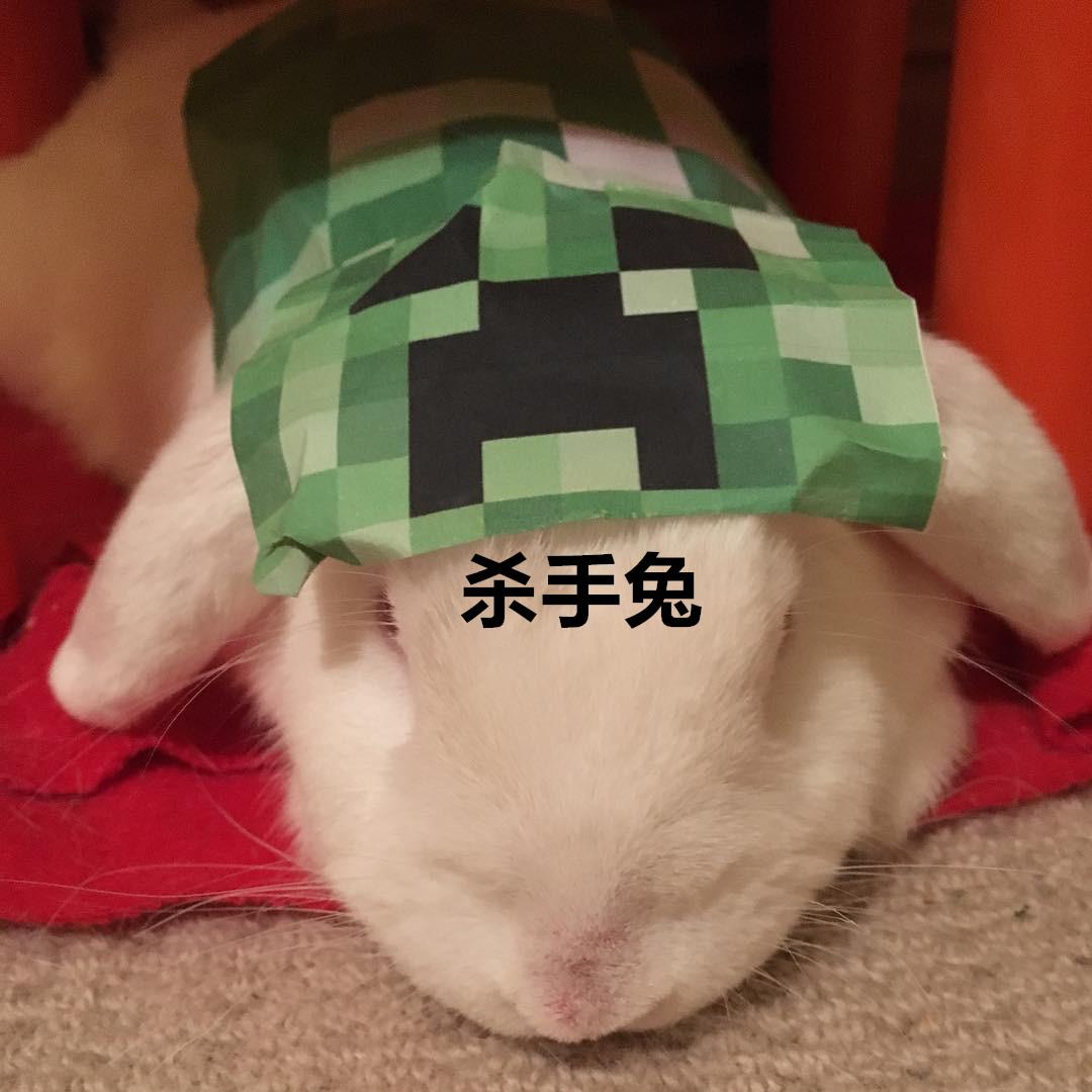 我的世界mc宠物生存合集,我的世界五个玩家喜欢的宠物