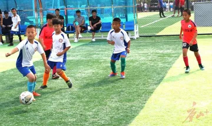 唐山足球场地,唐山足球场建设