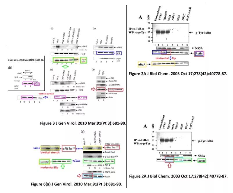论文图片作假,论文撤稿是真的假的