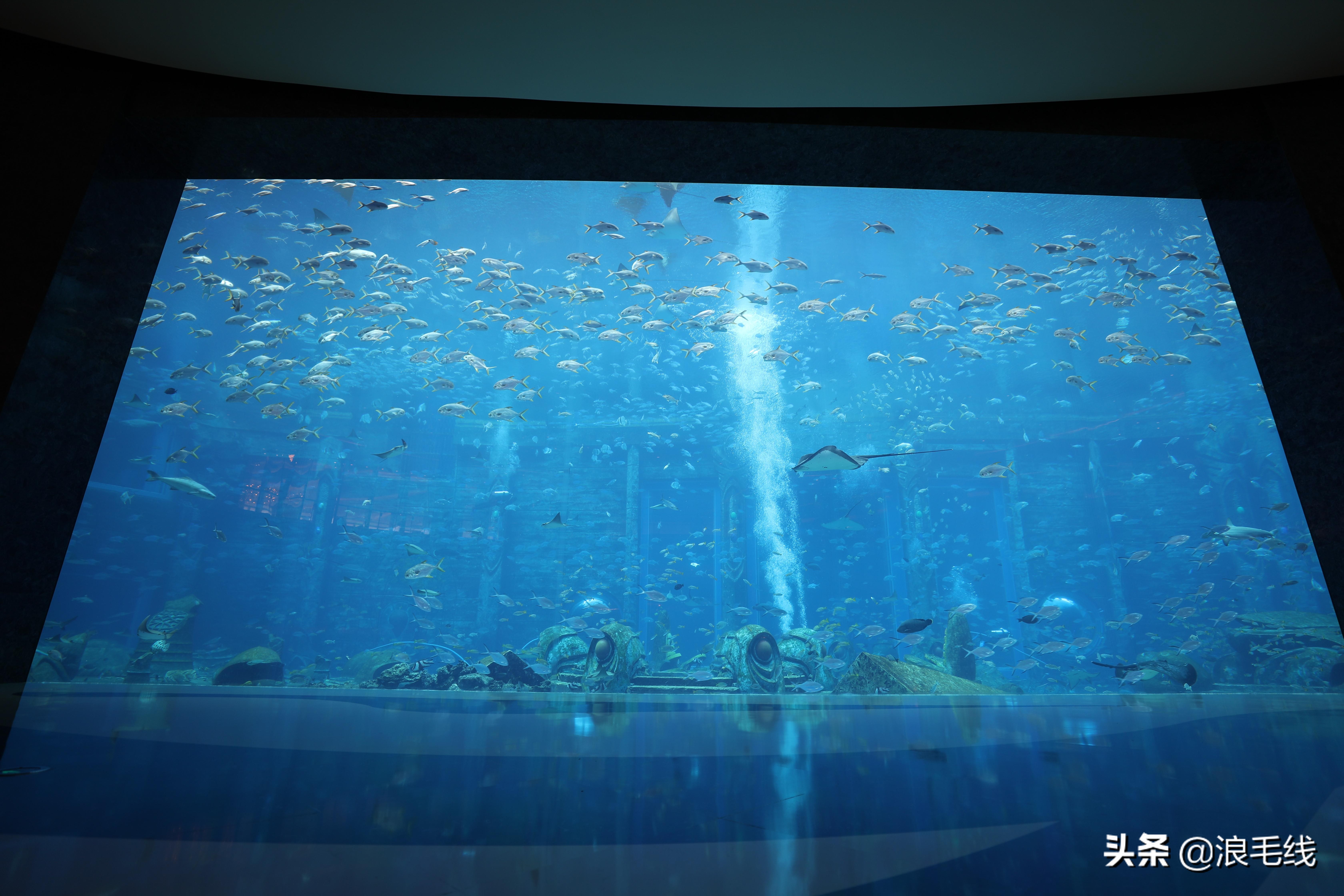 李现拍戏住的三亚酒店多少钱一晚,住韩商言同款酒店