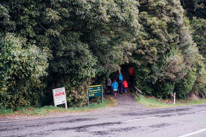 新西兰｜在首屈一指的滑雪胜地，与黑天鹅一起戏水