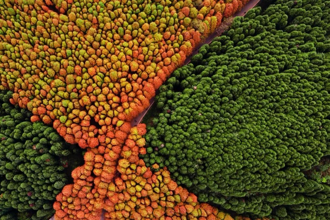 描写深秋的景色凄凉的诗词,深秋伤感无奈的诗词