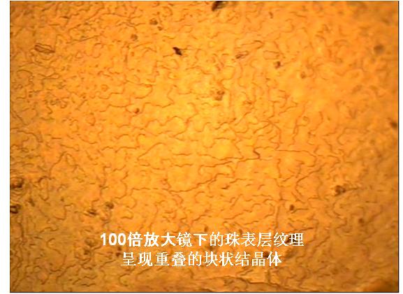 上百年的珍珠如何鉴定,珍珠鉴别师怎么考