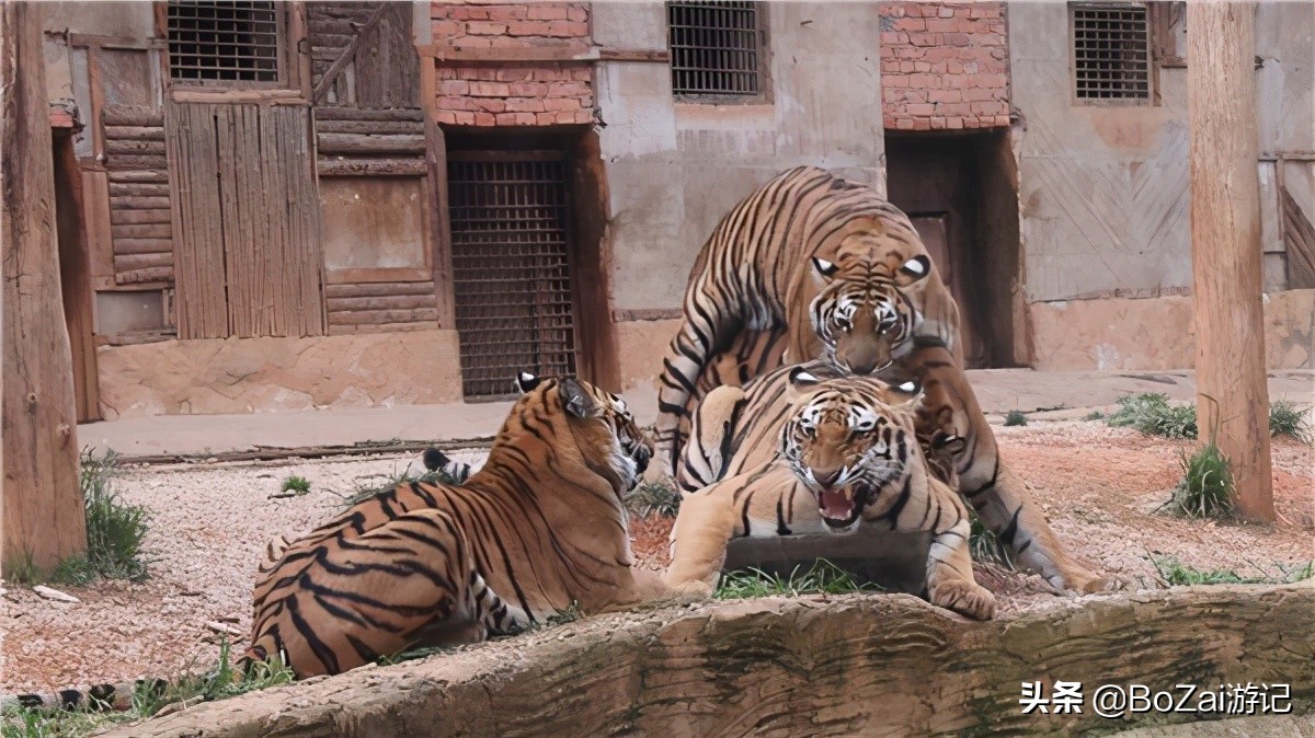 到昆明游玩必去的景点推荐一下,昆明官渡附近景点哪里好玩免费的