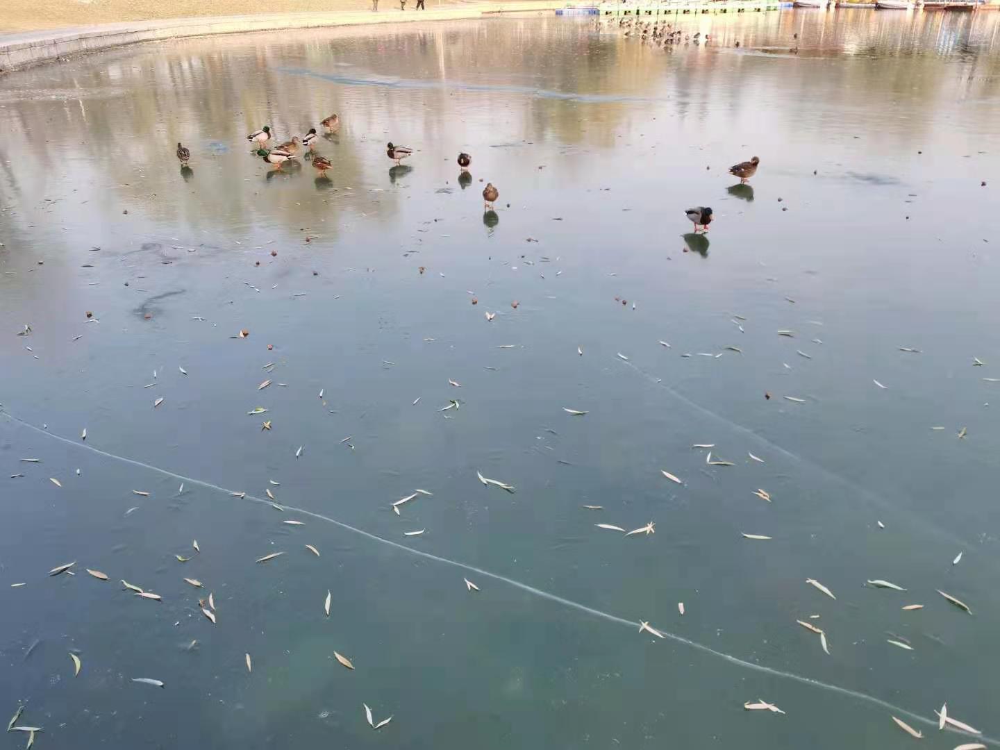 踩盘五矿壹云台,踩盘保利滨江和著