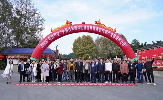 金沙酒业高端产品,金沙酒业酱香酒