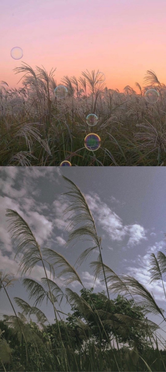 好看的微信聊天背景图男生,微信聊天背景图超清苹果