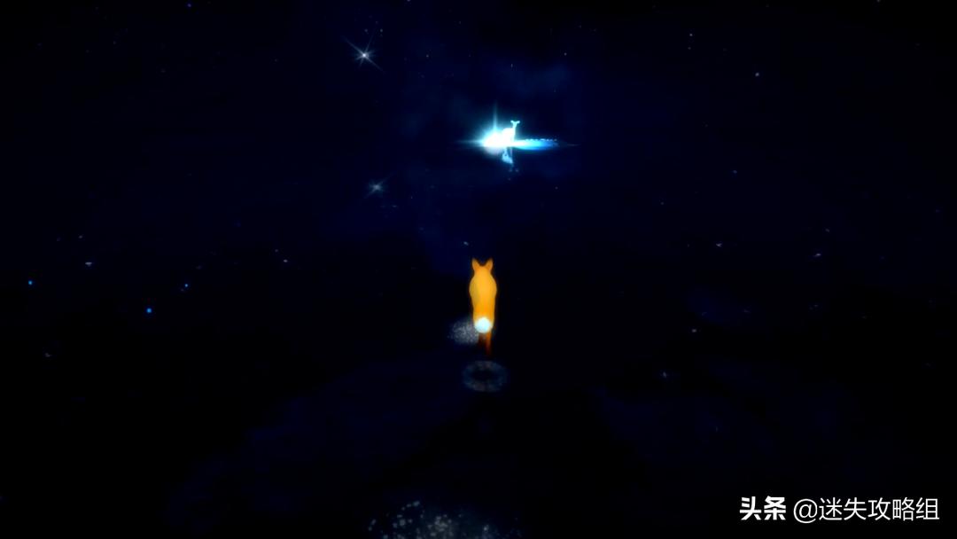 《第一棵树》：最值得留念的，是人生中那些不起眼的瞬间