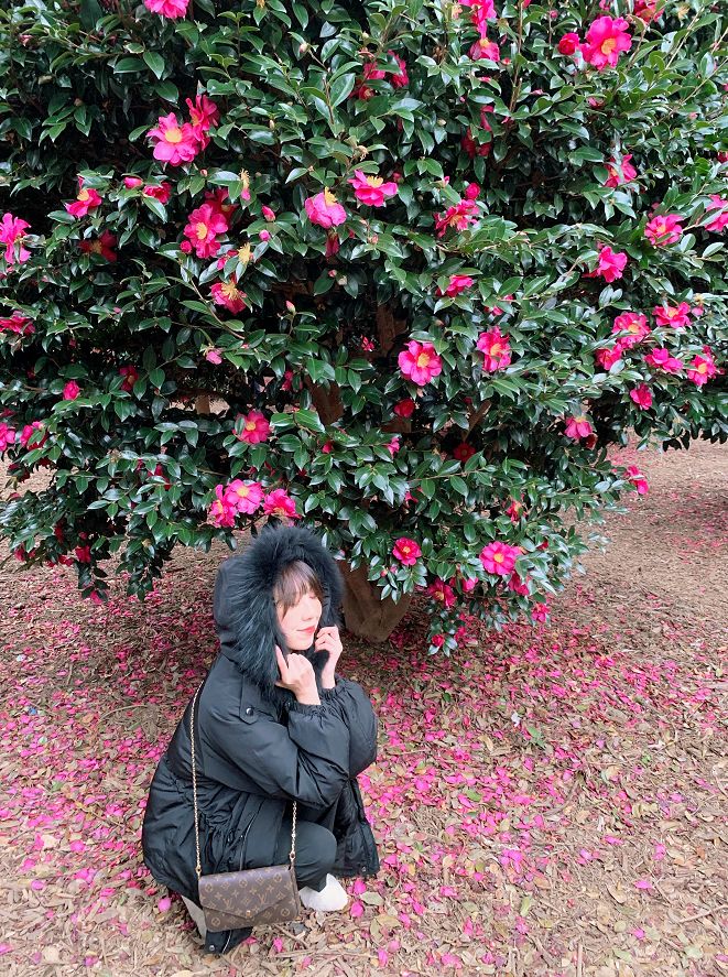 西安直飞1h,西安出发三日游冬季高铁