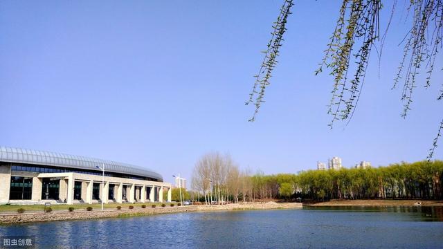 学法学不参加法考,学法学考不上五院四系