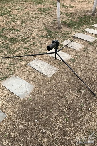 高性价比便携脚架百诺PA19AK套装试用