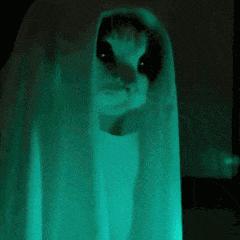 鎶婇厭搴楀仛鎴愰厭搴楄鏈夌殑鏍峰瓙,鎶婇厭搴楁敼閫犳垚鏈棩鍫″瀿