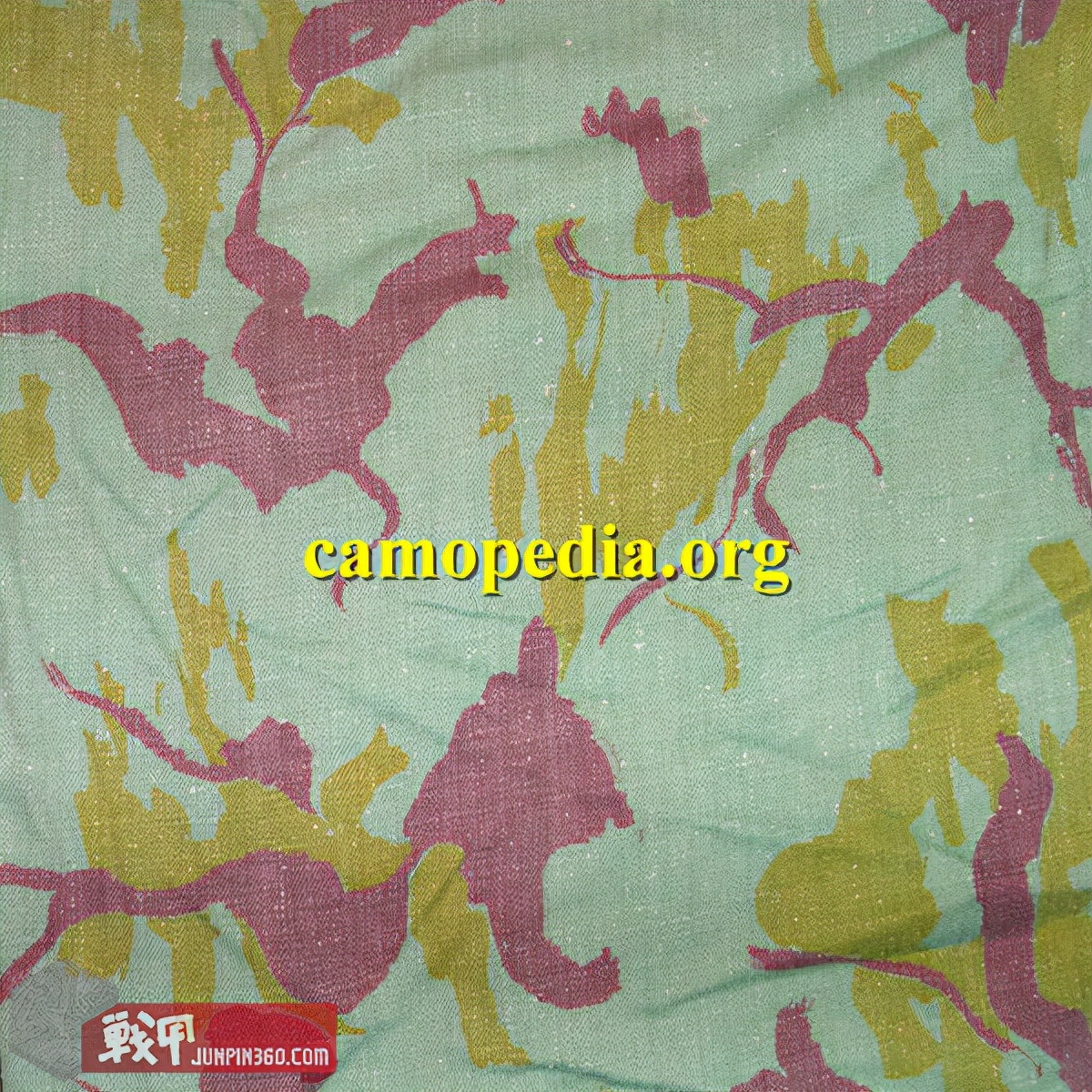 消失的军队有哪些,消失的军团完整版