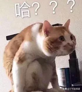 英国也抢不到票，求中国人给他们做了个“12306”