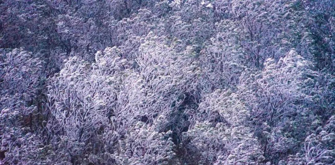 深圳周边泡温泉去哪个最好,深圳周边的温泉推荐
