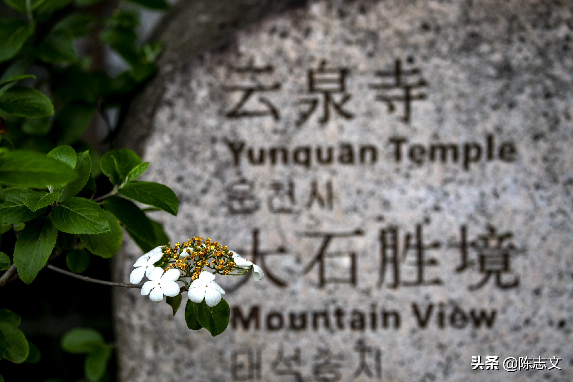 惬意时光生活要有仪式感,惬意时光心存美好