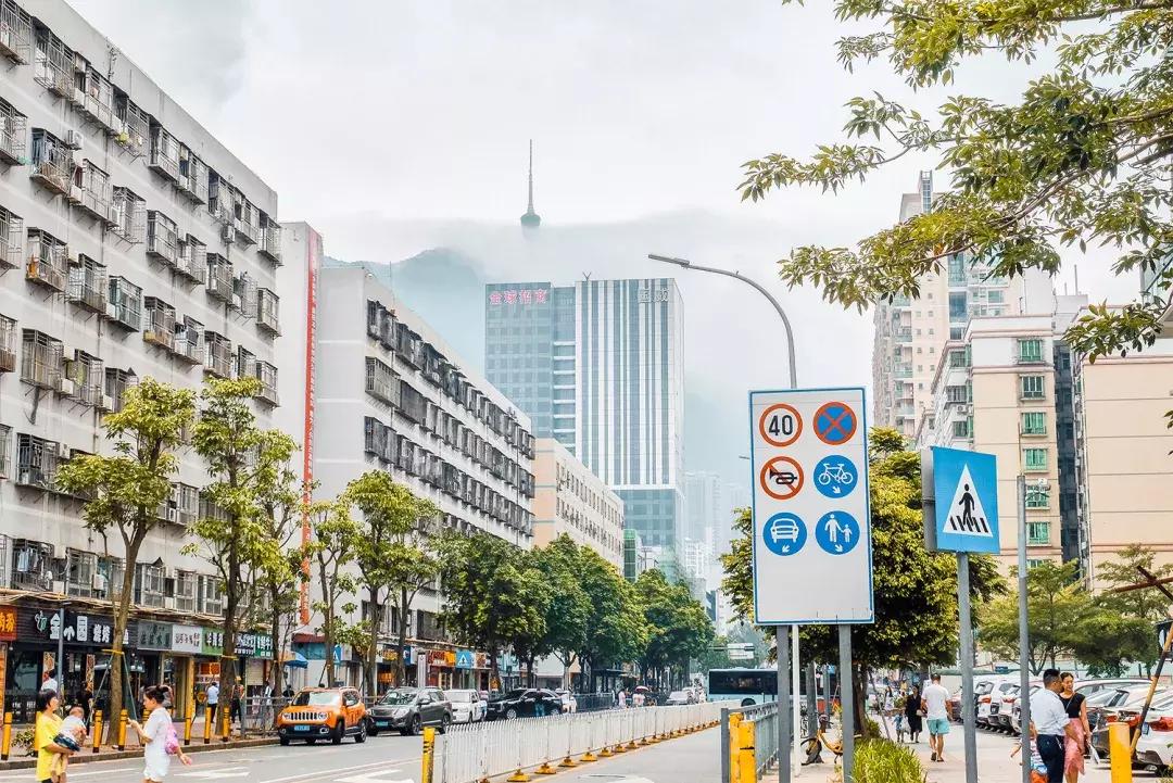 隐藏在梧桐山里的世外桃源,深山独门独户世外桃源