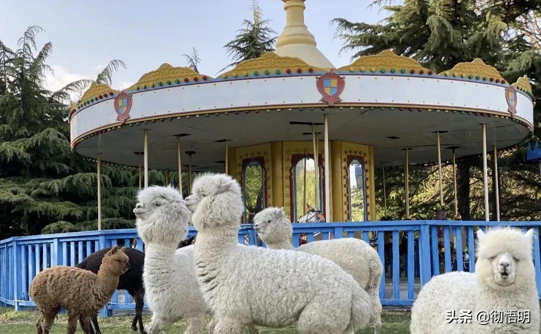 小奈良景区,北京小奈良紫玉山庄