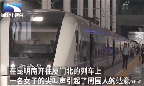 高铁遇咸猪手!女子乘高铁睡着,遭邻座猥琐男摸醒